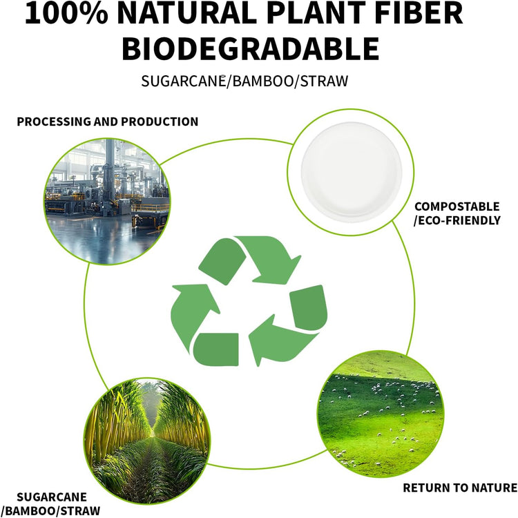 Compostable Paper Plates 9 Inch - 100% Biodegradable, Heavy Duty Eco-Friendly Disposable Plates for Camping，Parties, Weddings, BBQ (150 Pack) (9" Natural Brown)