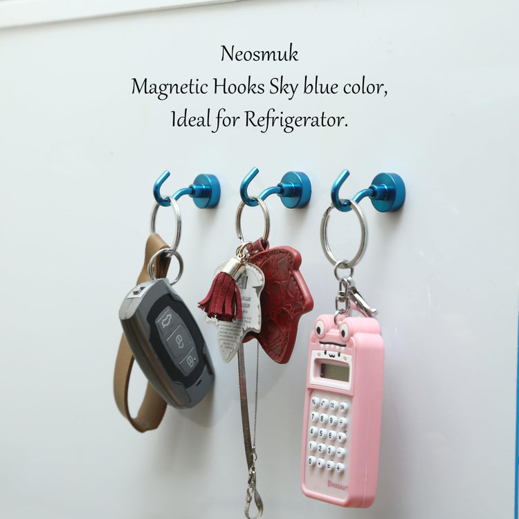 Magnetic Hooks (12 Count)