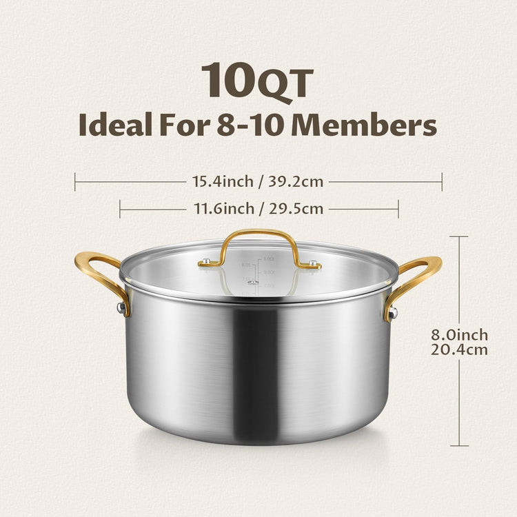 10 QT Stock Pot with Lid