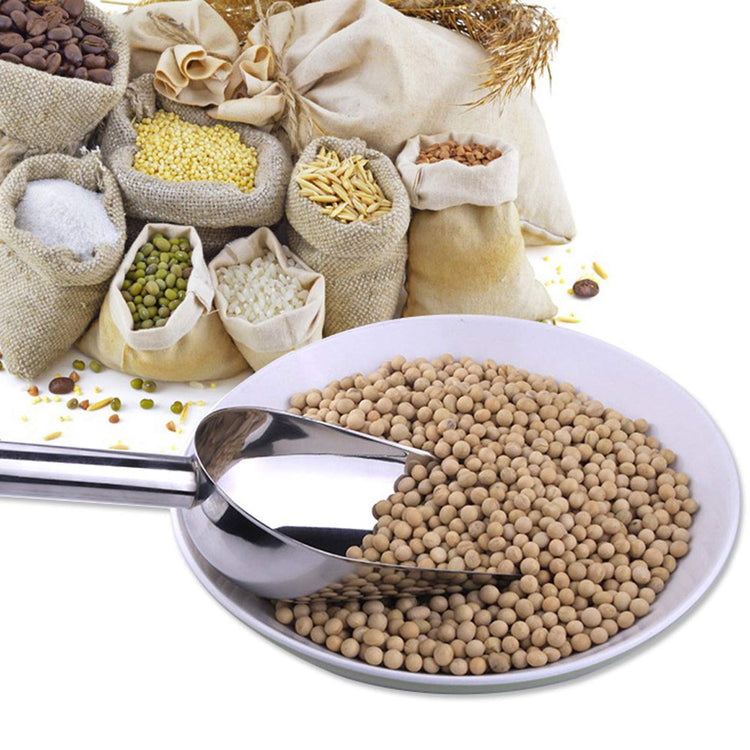 Food Ice Scoop