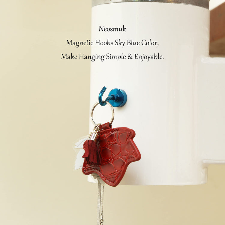 Magnetic Hooks (15 Count)