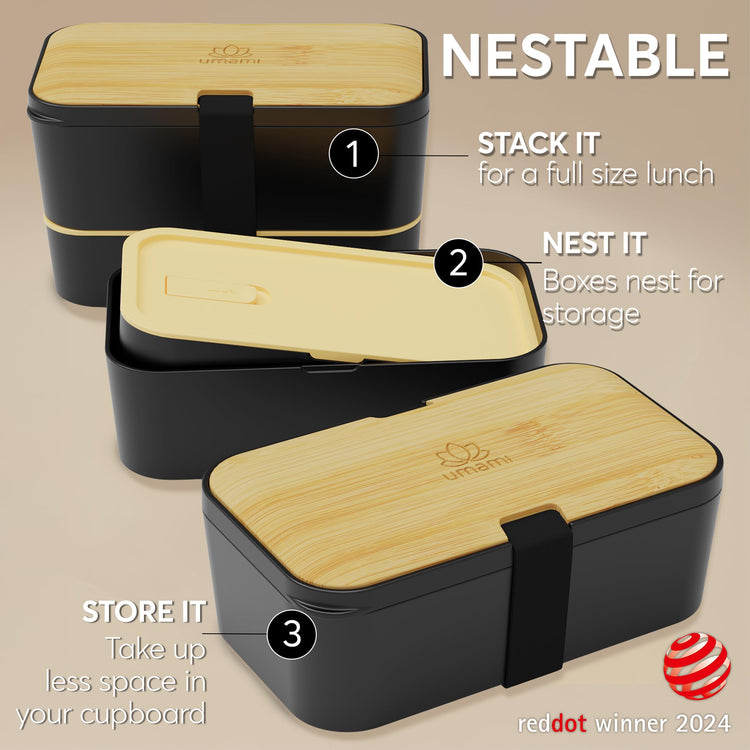 Bento Box Adult