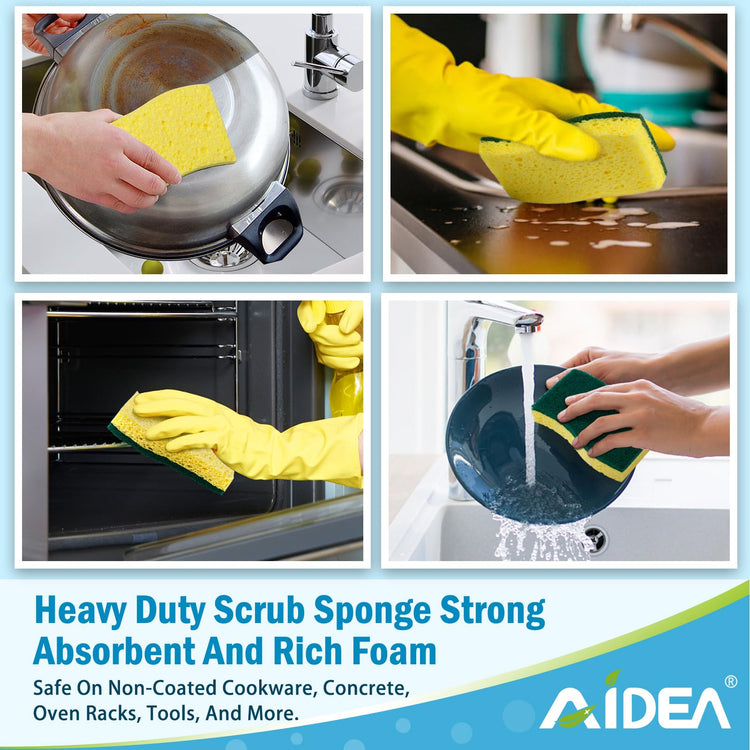 Sponges Kitchen (10 Count)