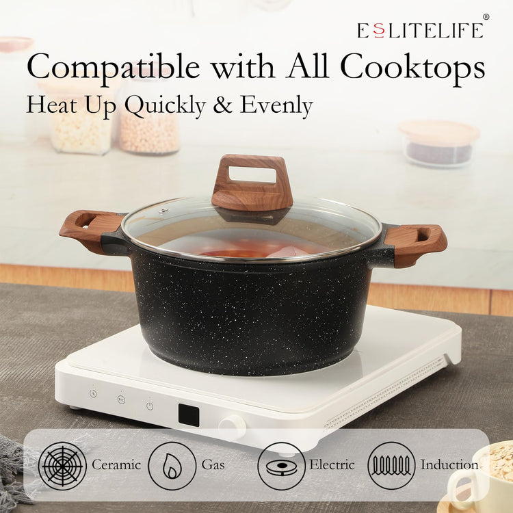 Nonstick Stock Pot with Lid