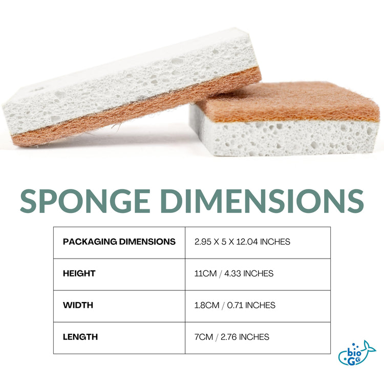 White 12 Pack Biodegradable Kitchen Sponge (12 Count)