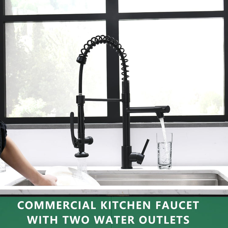 Black Kitchen Faucet