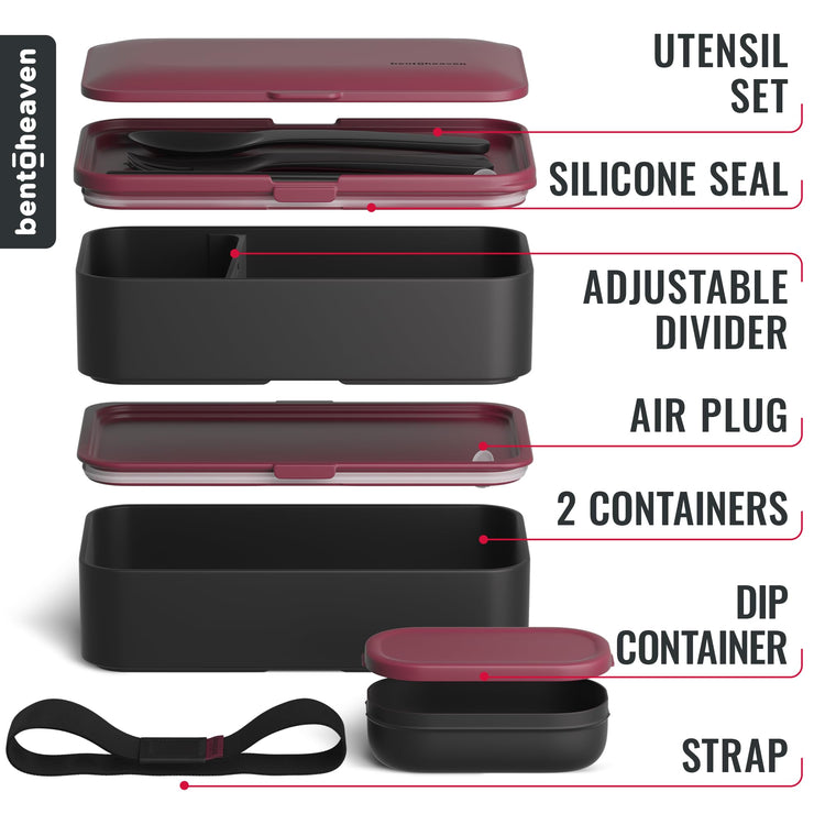 Bento Box Adult