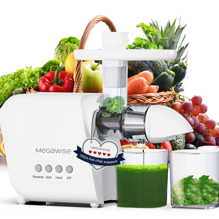 Pro 2025 Updated Slow Masticating Juicer