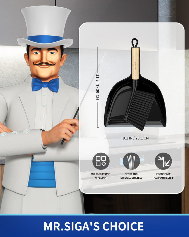 Dustpan and Brush Set