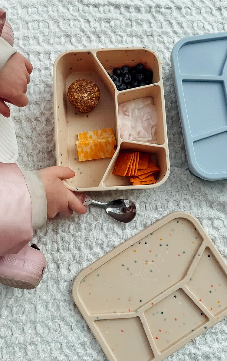 Leak Proof Square Bento Box Food (4 Count)