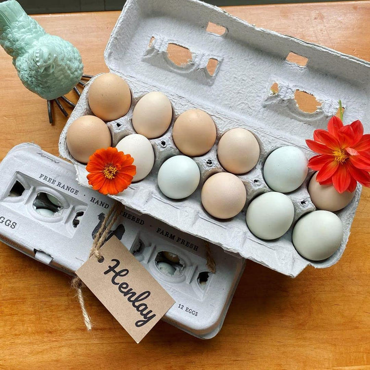 90 Egg Cartons (90 Count)