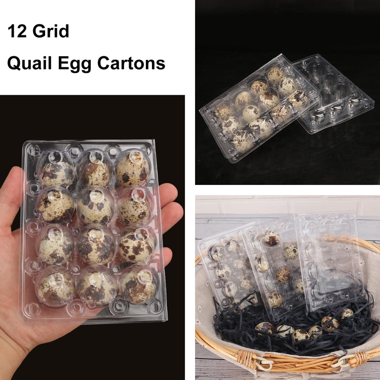 200 Pack Quail Egg Cartons (200 Count)