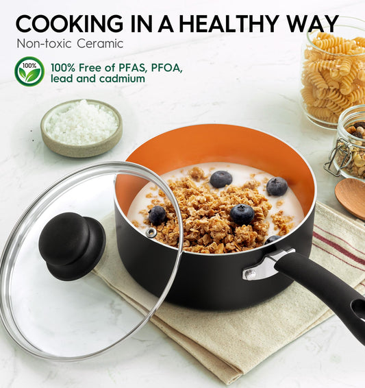 Nonstick Sauce Pan with Lid 1QT