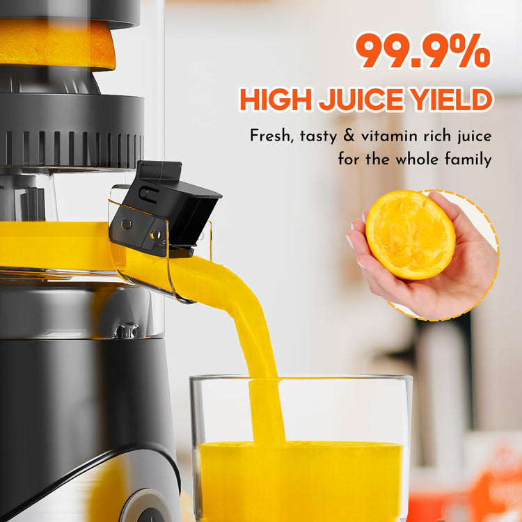 Electric Citrus Juicer