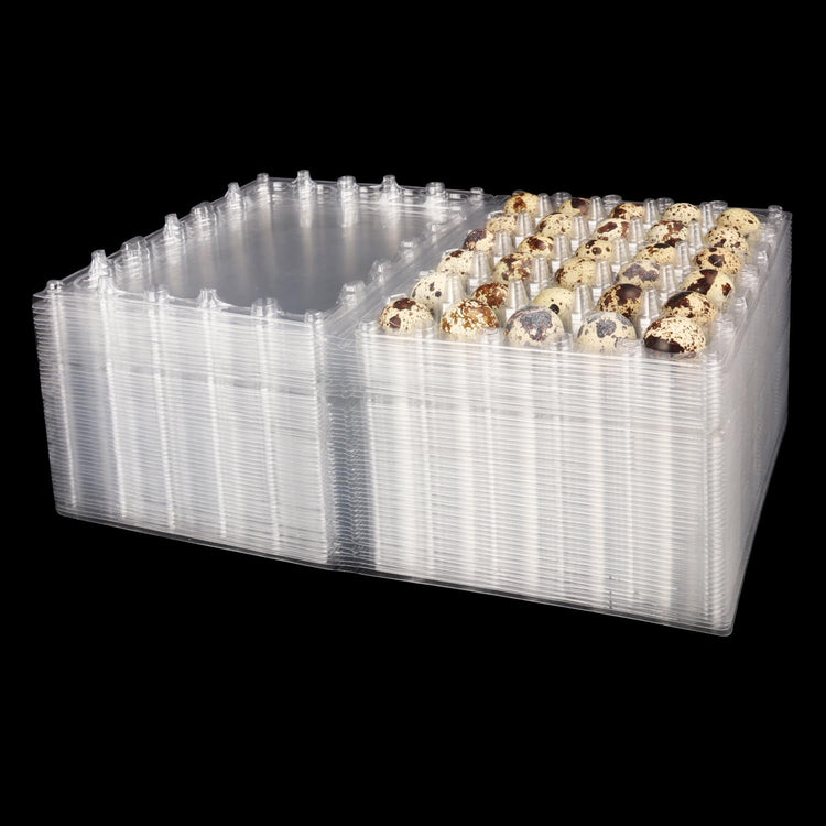 100 Pack Quail Egg Cartons (100 Count)