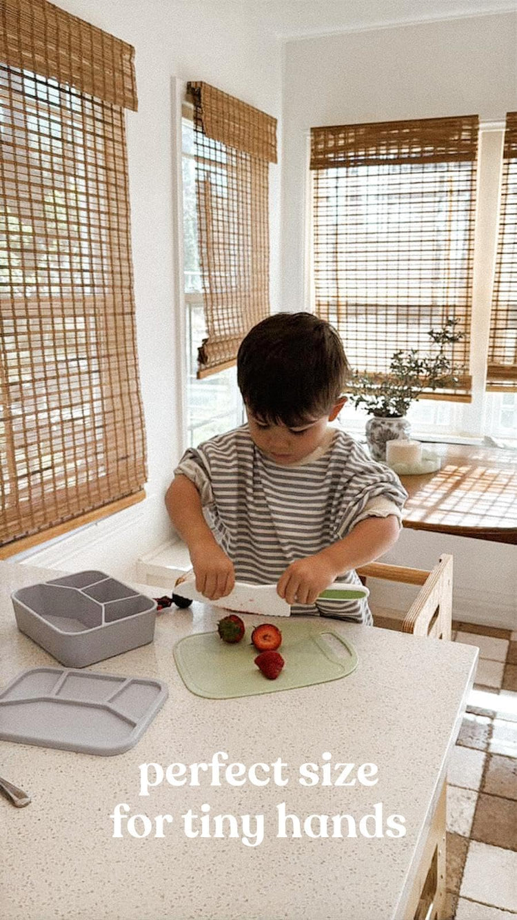Leak Proof Square Bento Box Food (4 Count)