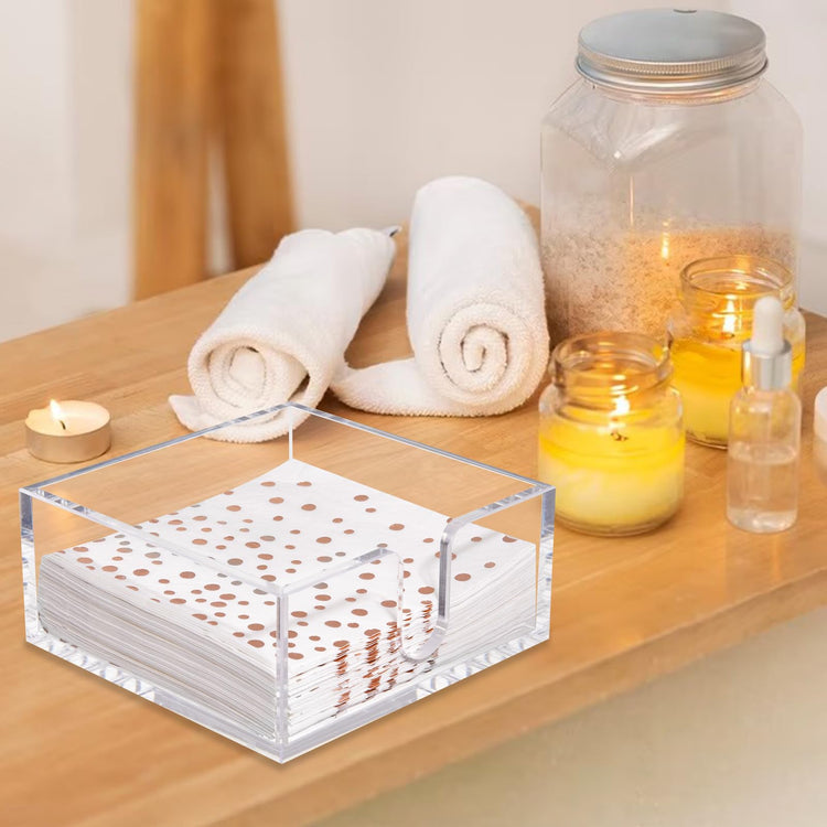 2 Pack Napkin Holder