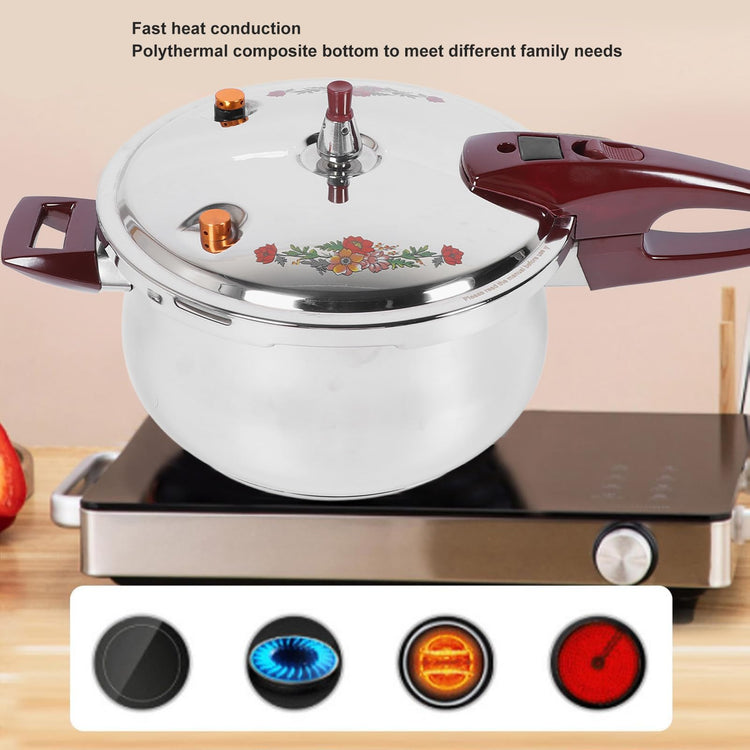 Stainless Steel Pressure Cooker 80KPA