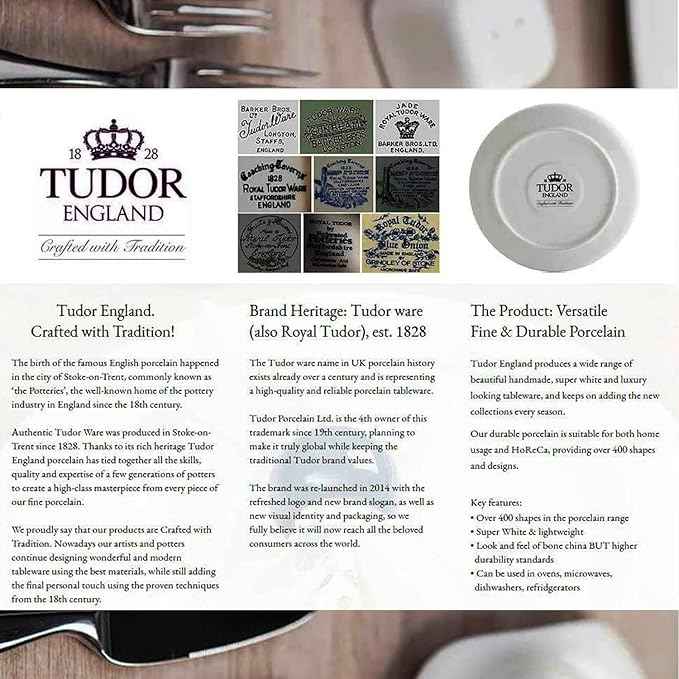 TUDOR Royal Collection 12-Piece Round Porcelain Dinnerware Set, Service for 4 with Dinner Plates, Bowls, and Salad Plates, Aster Pink Red Floral Design, High Gloss Finish, Durable & Premium Quality