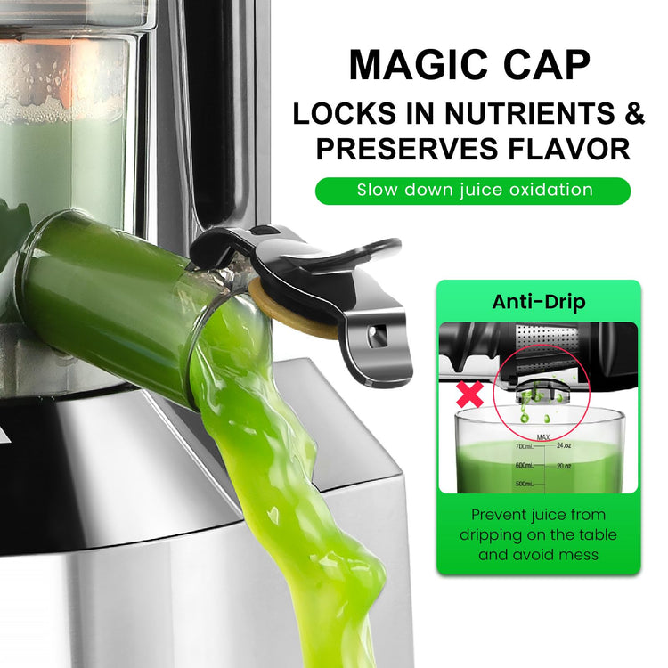 Cold Press Juicer