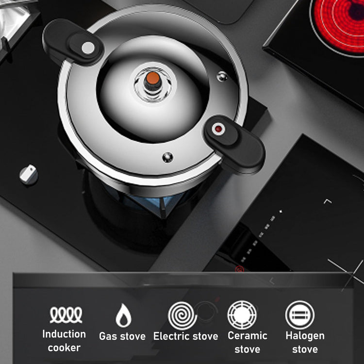 Stainless Steel Pressure Cooker