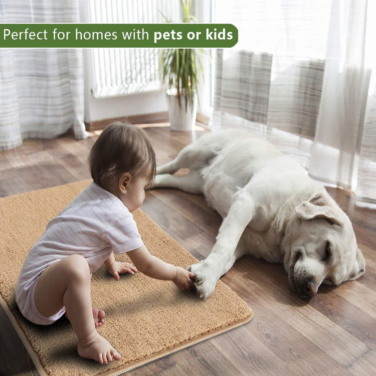 Indoor Door Mat