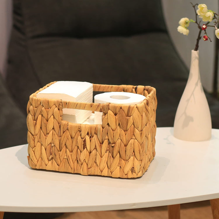 Water Hyacinth Storage Baskets (3 Count)
