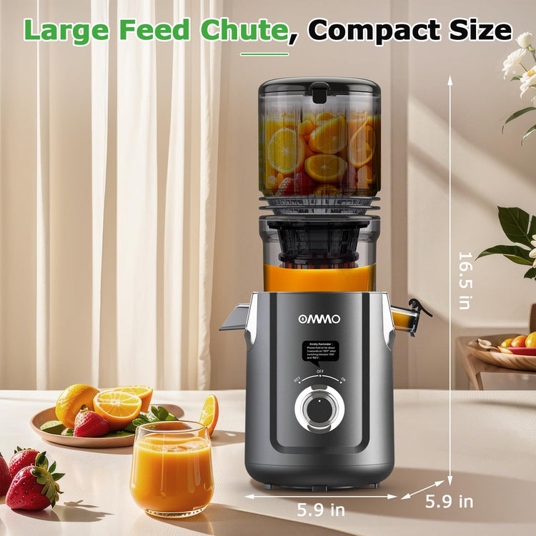 Cold Press Juicer Machines for Whole Fruits & Vegetables