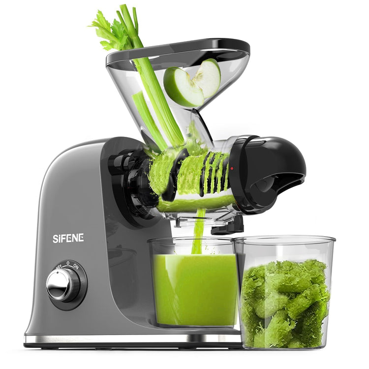 Mini Slow Masticating Juicer