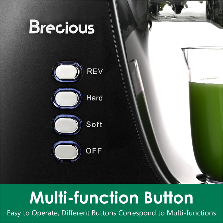 Slow Masticating Juicer