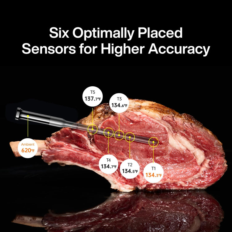 Sync Gold Wireless WiFi Meat Thermometer (2 Count)
