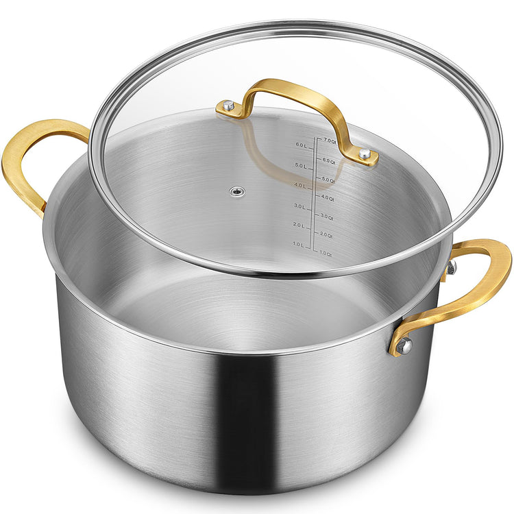 6 QT Stock Pot with Lid