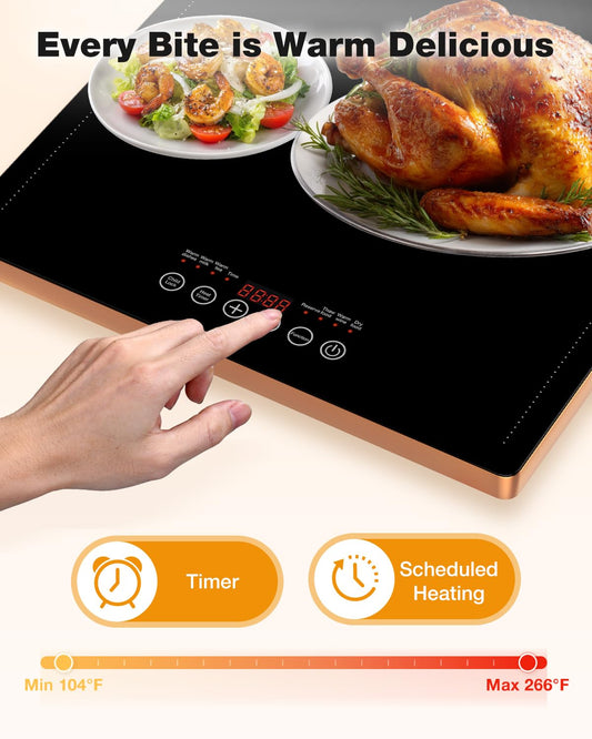 Electric Warming Tray