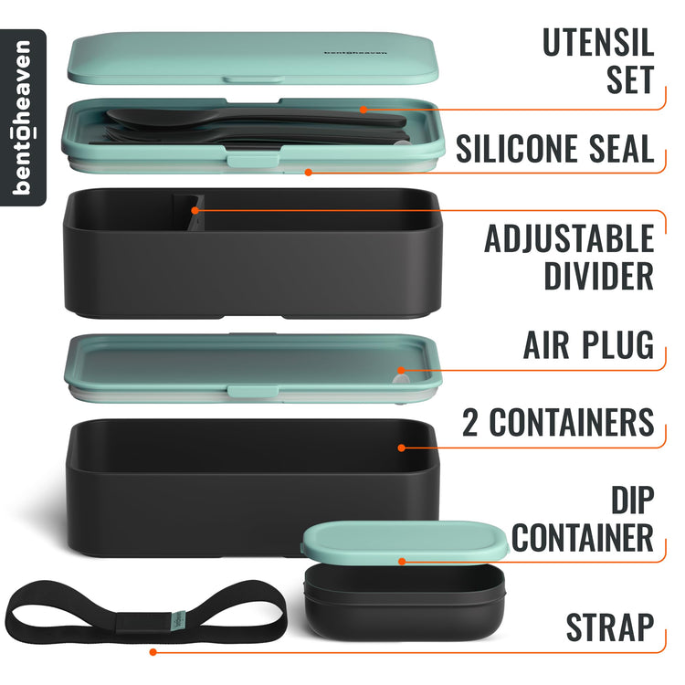 Bento Box Adult