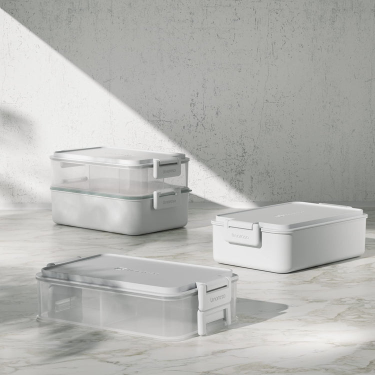 Stackable 2 Tier Adult Bento Box (4 Count)