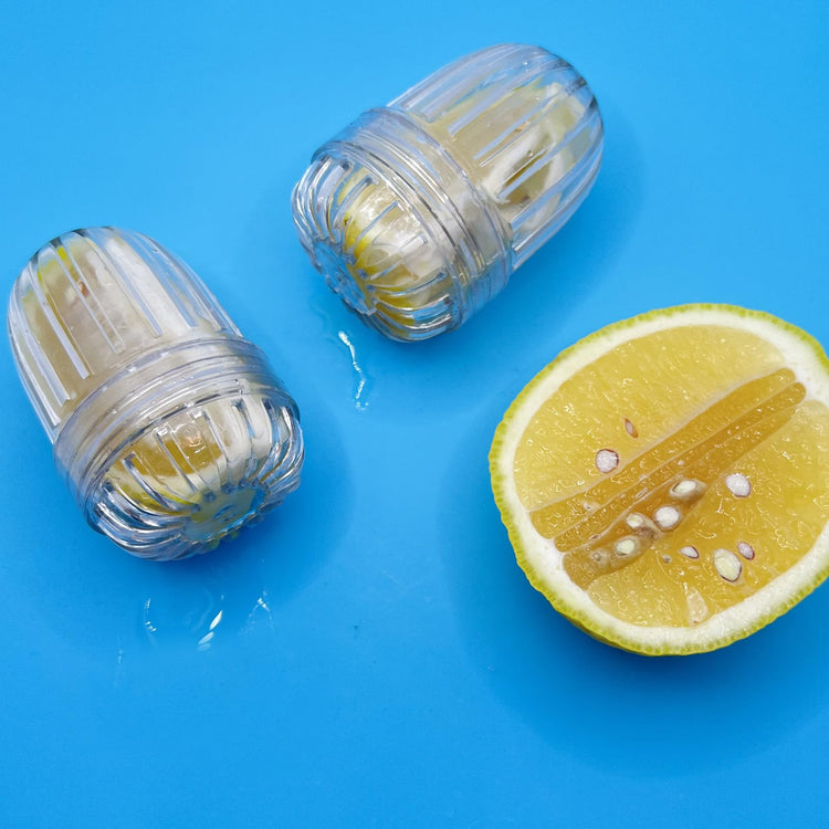 2PCS Small size Fruit Infuser for Wide Mouth Bottles. (2 Count)