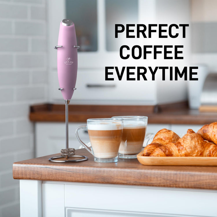 Powerful Double Whisk Milk Frother Handheld