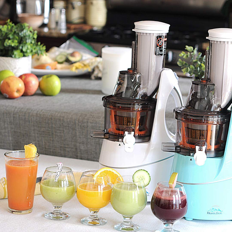 Cold Press Slow Masticating Juicer