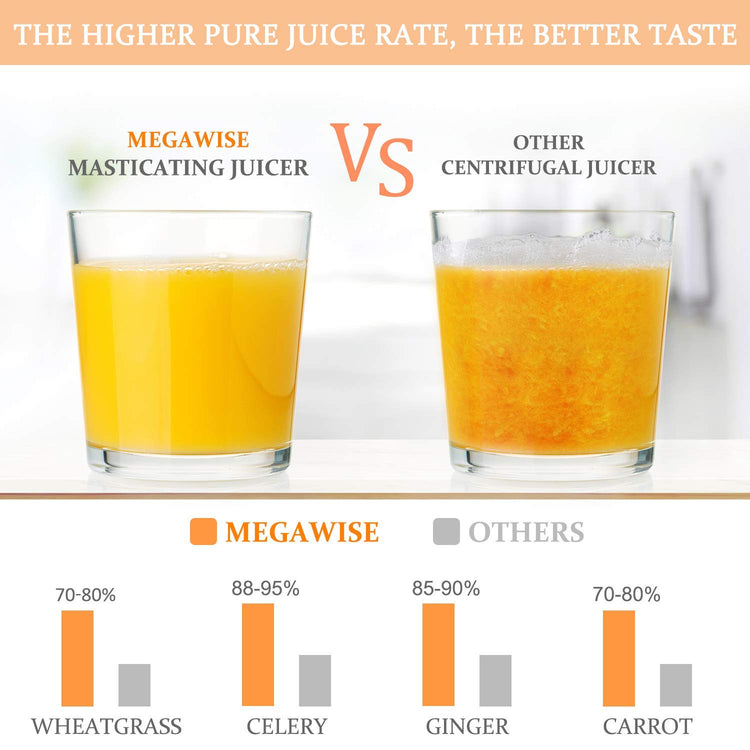 Pro 2025 Updated Slow Masticating Juicer