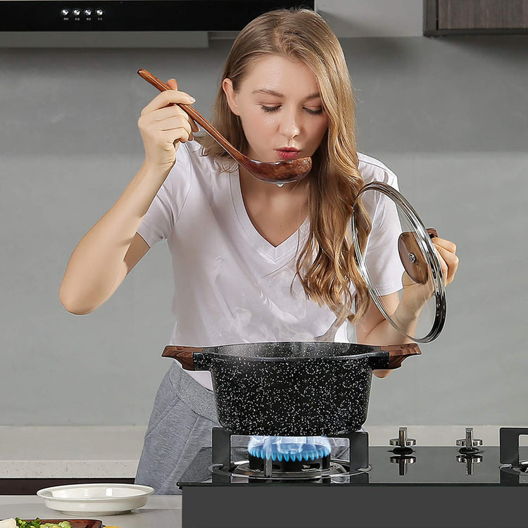 Nonstick Stock Pot with Lid