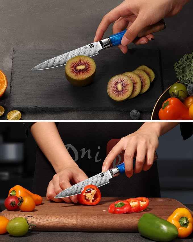 Kitchen Utility Knife 5 Inch, Japanese VG10 Steel Damascus Paring knife, Small Kitchen chef Knife with Gift Box and Resin Wood Handle, Ideal Birthday Gift for Men and Women