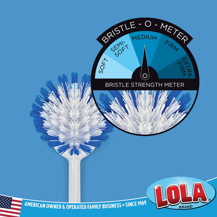 Dish Brush Scrubber for Kitchen (2 Count)