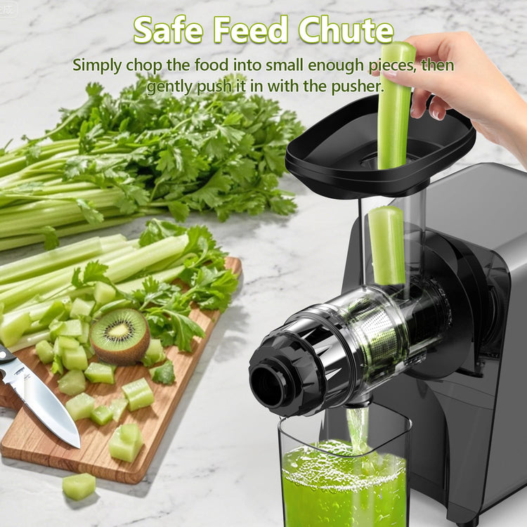 Slow Juicer Carrot Ginger