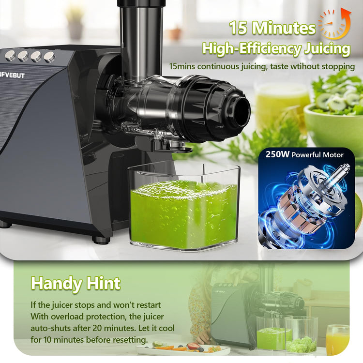 Cold Press Slow Juicers for Carrot Celery Ginger Beet