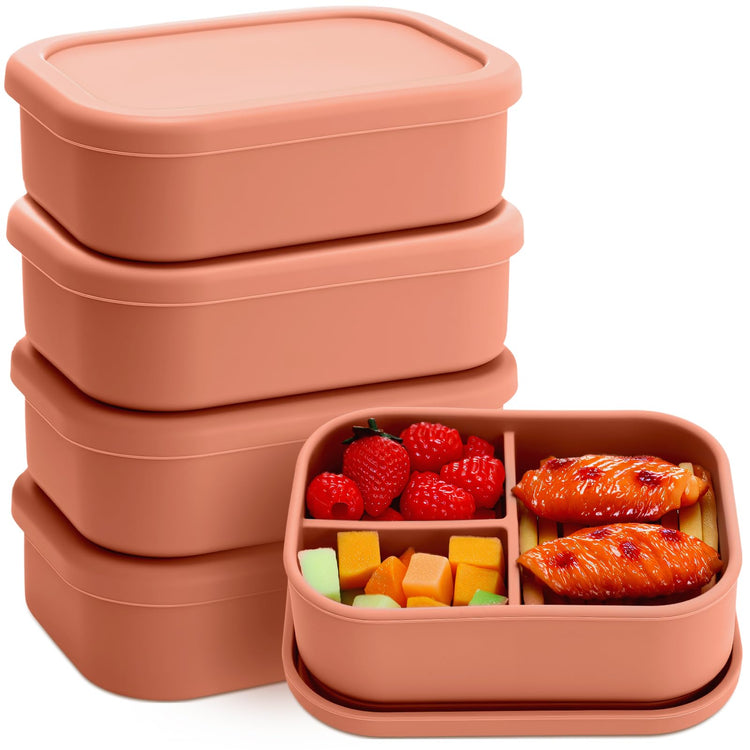 4 Pcs Silicone Bento Box (4 Count)
