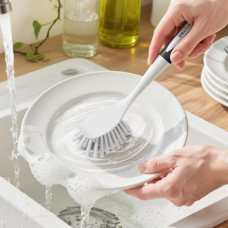 Dish Brush with Handle (2 Count)