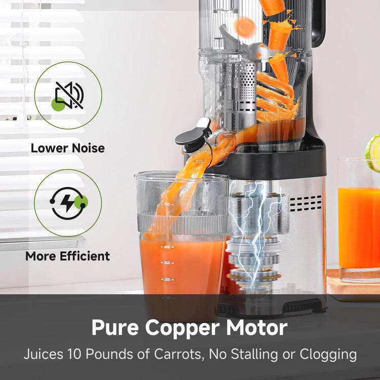 Cold Press Juicer