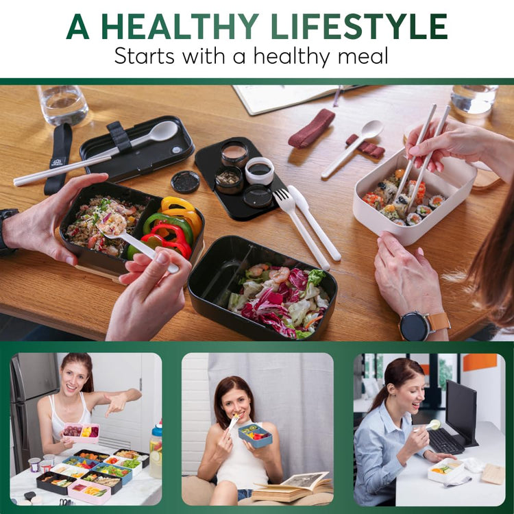 Bento Box Adult