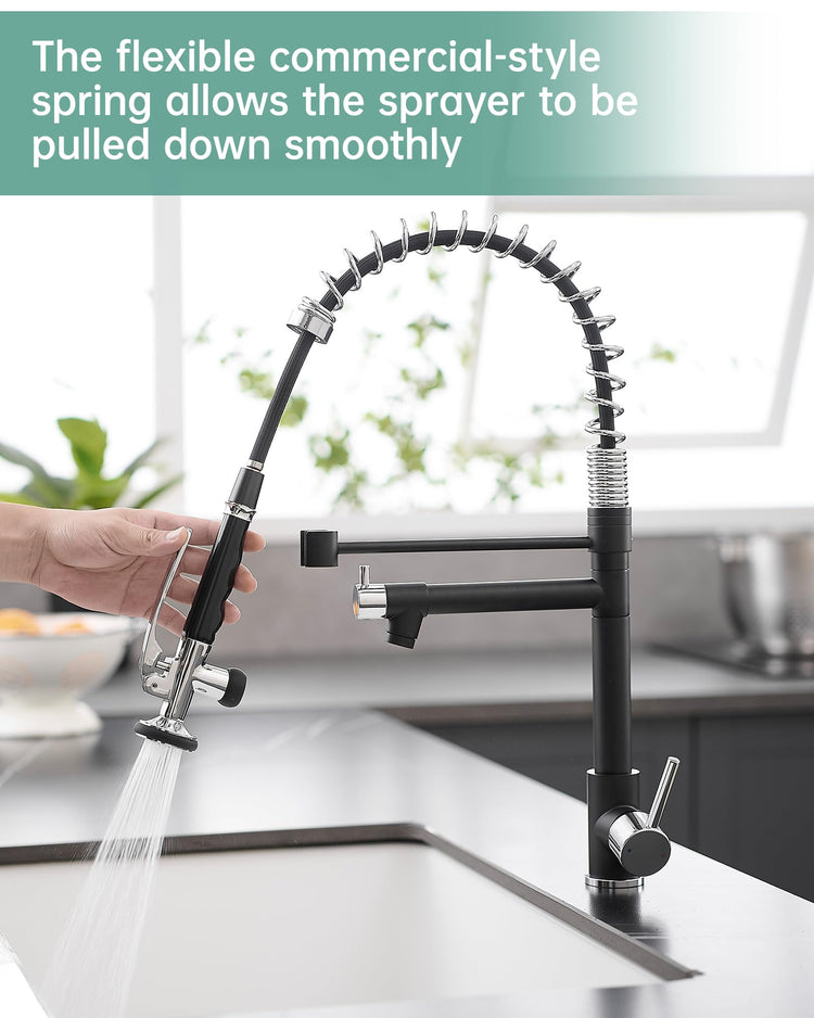 Kitchen Sink Faucet