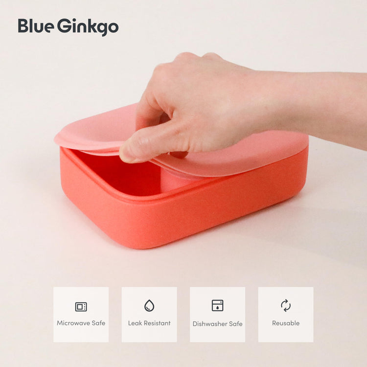 Bento Style Silicone Lunch Box Set